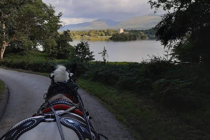 Exploring Killarney National Park by Jaunting Car: Scenic Routes and Timeless Views photo 3