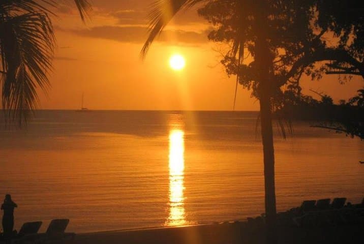 Negril Day Trip from Ocho Rios: Rick's Cafe, Seven Mile Beach and Island Drive photo 4