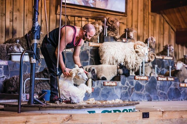 Agrodome Rotorua: Sheep Show, Farm Tour & All‑Terrain Farm Experience photo 2