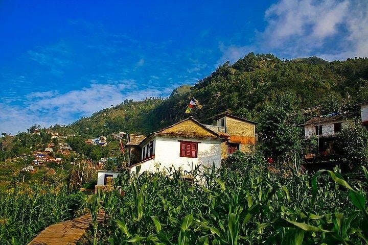 Sirubari Homestay Tour: Authentic Gurung Village Experience Near Pokhara photo 3