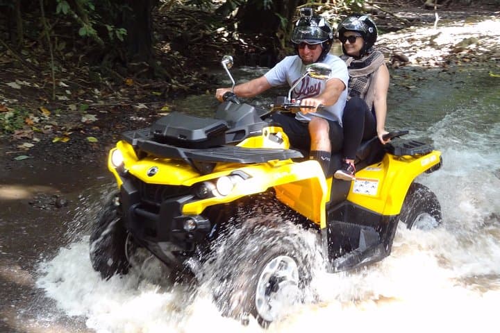 Moorea ATV Grand Tour: Belvedere Lookout, Pineapple Fields and Magic Mountain