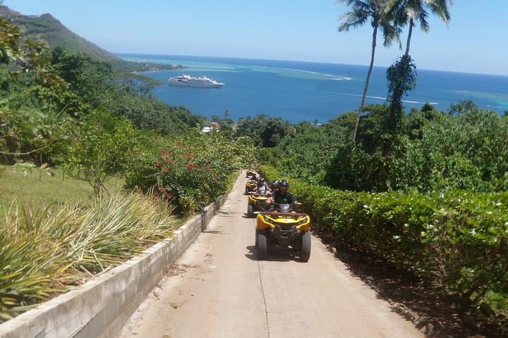 Moorea ATV Grand Tour: Belvedere Lookout, Pineapple Fields and Magic Mountain photo 5