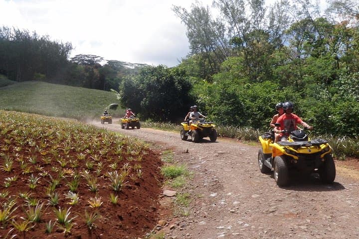 Moorea ATV Grand Tour: Belvedere Lookout, Pineapple Fields and Magic Mountain photo 6