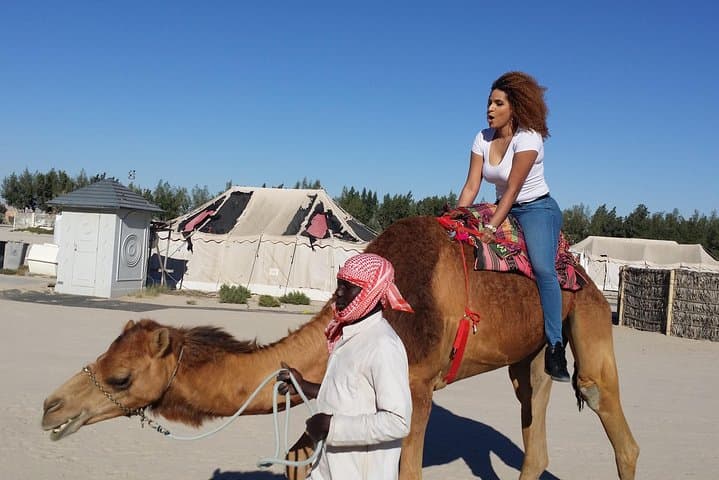 Half-Day Bahrain Desert Tour: Tree of Life, Camel Farm & Dilmun Burial Mounds photo 2
