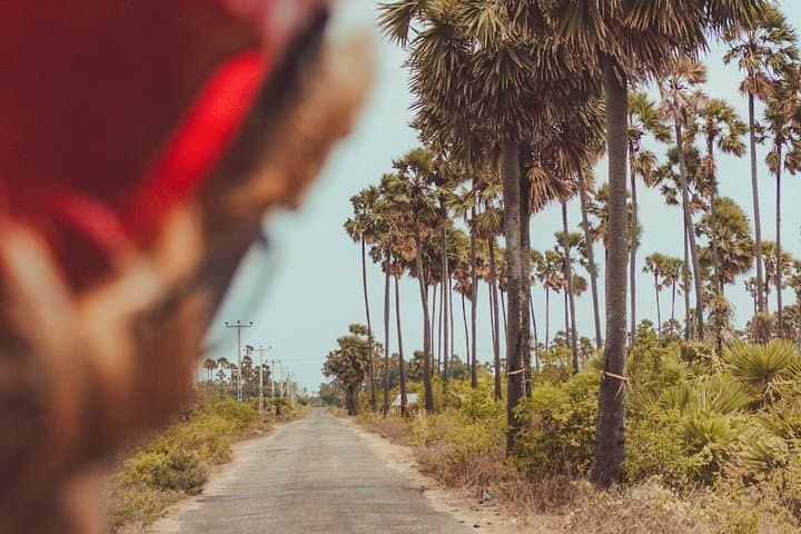 Incredible Jaffna: 7-Day Cultural and Coastal Adventure in Sri Lanka photo 3