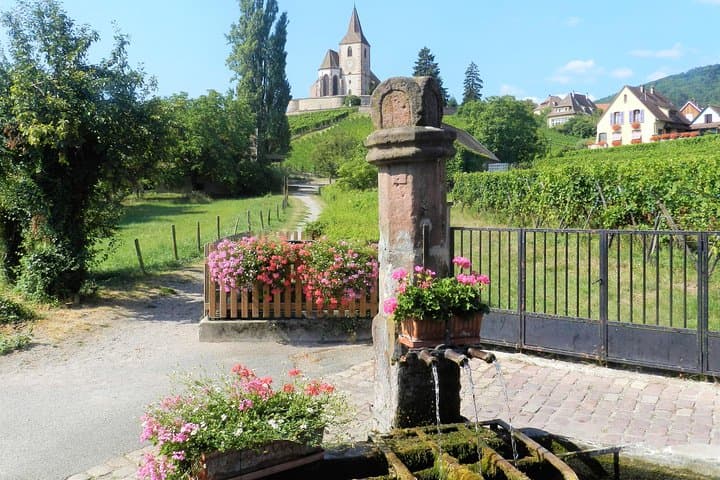 Alsace Emblematic Day Tour: Villages, Haut-Koenigsbourg & Wine Tasting photo 2