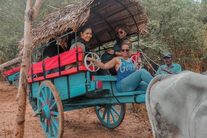 Sri Lanka in 10 Days: Cultural Triangle, Hill Country & Yala Wildlife Private Tour photo 5