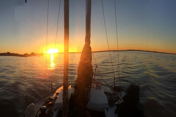 Sail the Río de la Plata: Photography & Birdwatching in the Tigre Delta photo 2