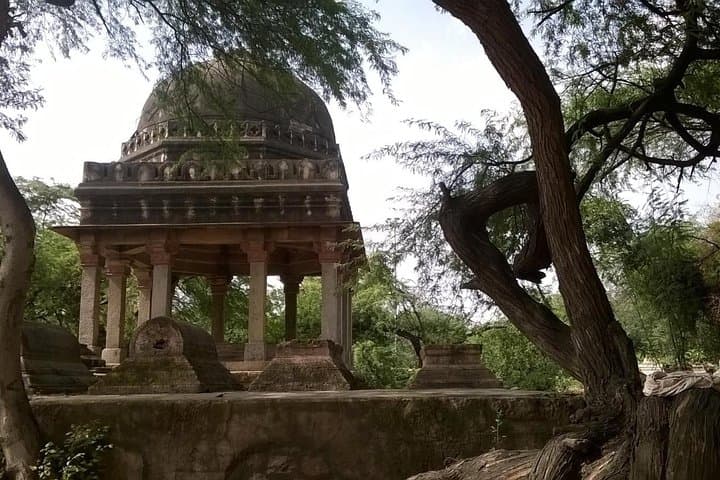 Mehrauli Archaeological Park Guided Walking Tour — Qutub Minar & Hidden Ruins photo 6