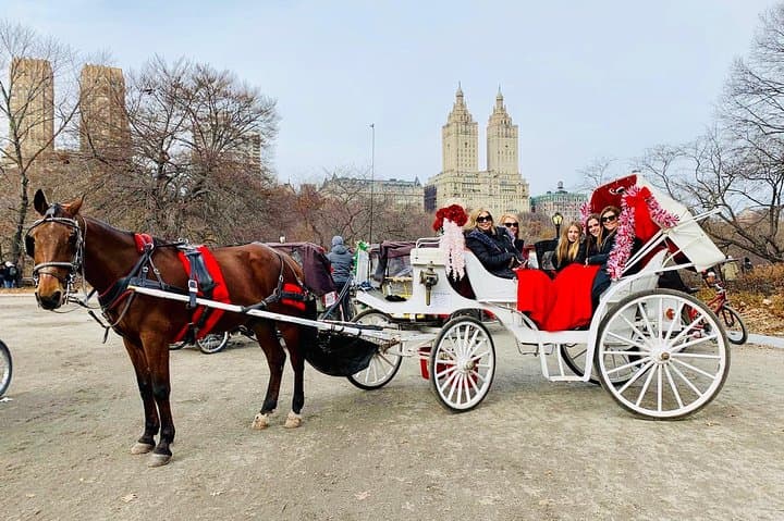 VIP 45-Minute Central Park Carriage Ride — Classic Lower Loop Tour