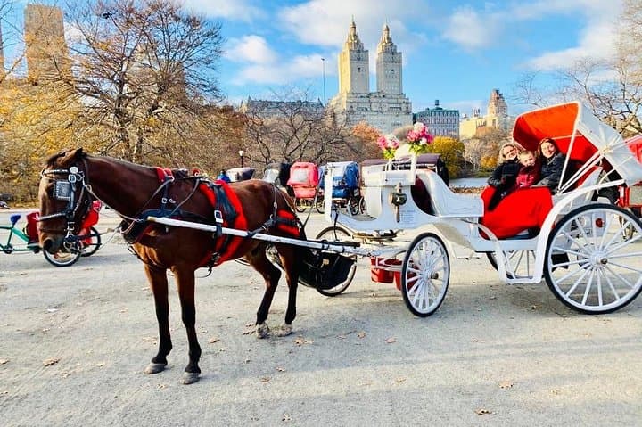 VIP 45-Minute Central Park Carriage Ride — Classic Lower Loop Tour photo 2