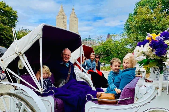 VIP 45-Minute Central Park Carriage Ride — Classic Lower Loop Tour photo 4