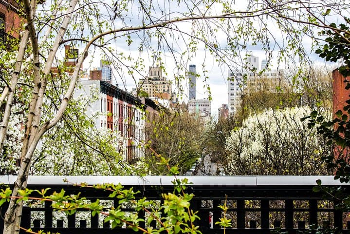 Walking the High Line: 2-Hour Guided Tour Through NYC's Elevated Park photo 5