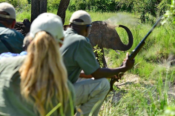 Victoria Falls Camping Adventure: 4-Day Livingstone & Zambezi Experience photo 4