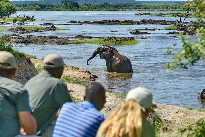 Victoria Falls Camping Adventure: 4-Day Livingstone & Zambezi Experience photo 5