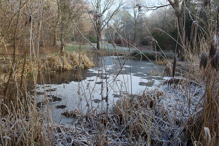 Dundee Botanic Garden Skip-the-Line Ticket — Explore 27 Acres of Temperate Plants