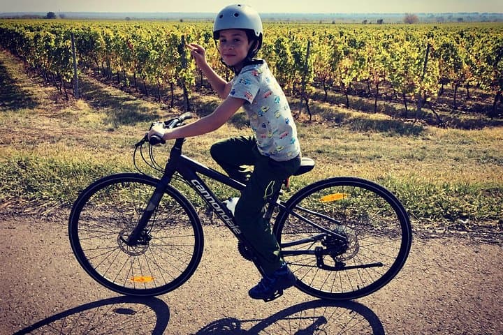 Bike and Wine Tour in Dealu Mare Wineland — Cycle Romania's Historic Vineyards photo 4