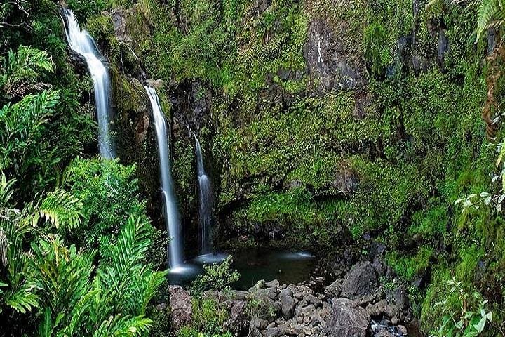 Road to Hana Deluxe Rainforest & Waterfall Experience — Maui Day Tour Guide photo 2