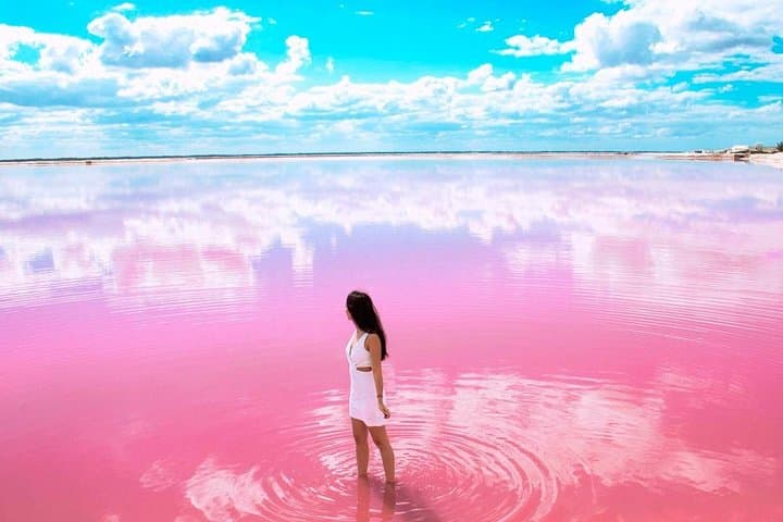 Las Coloradas Pink Lakes & Río Lagartos Day Trip from Playa del Carmen photo 6