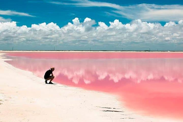Las Coloradas Pink Lakes & Rio Lagartos Boat Tour from Cancun photo 3
