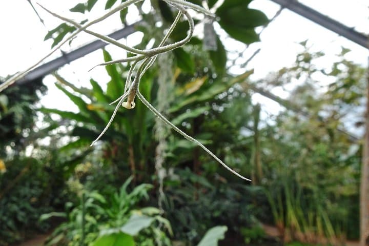 Dundee Botanic Garden Skip-the-Line Ticket — Explore 27 Acres of Temperate Plants photo 3