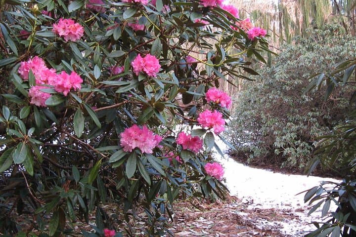 Dundee Botanic Garden Skip-the-Line Ticket — Explore 27 Acres of Temperate Plants photo 6