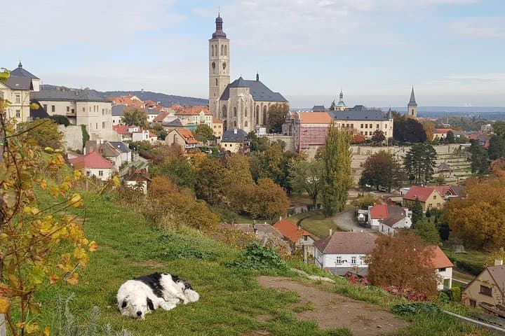 Kutná Hora & Sedlec Ossuary Private Tour from Prague: Bone Church, St. Barbara's Cathedral & Medieval Mines photo 2