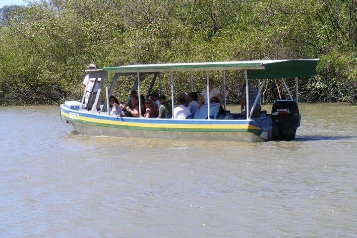 Palo Verde Jungle River Cruise and Diriá Coffee Farm Tour photo 5
