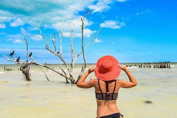 Holbox Beach Adventure and Punta Mosquito Day Trip from Tulum photo 6