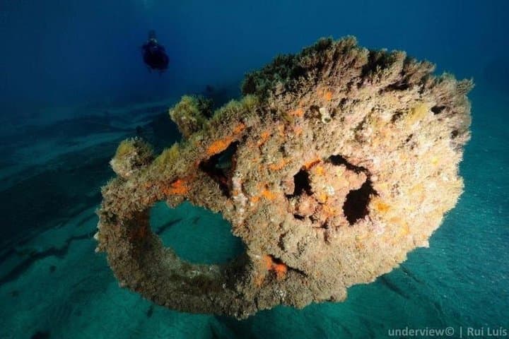 Double Dive in the Algarve — Albufeira Scuba Day Trip to Caves & Reefs photo 6