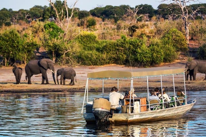 Chobe Day Trip from Livingstone: Kazungula Crossing, Game Drive & River Safari