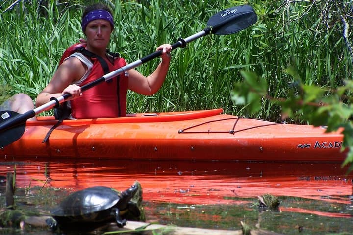 Paddle Alligator River: Kayak the OBX Refuge for Red Wolves & Egrets photo 5