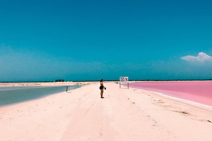 Las Coloradas Pink Lakes & Rio Lagartos Boat Tour from Cancun photo 6