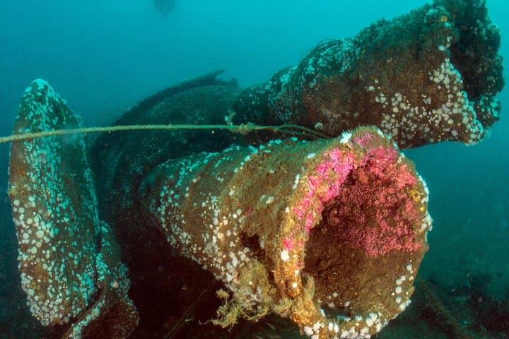 Dive the U-1277: Portugal’s Most Iconic WWII Wreck Dive Near Porto photo 2