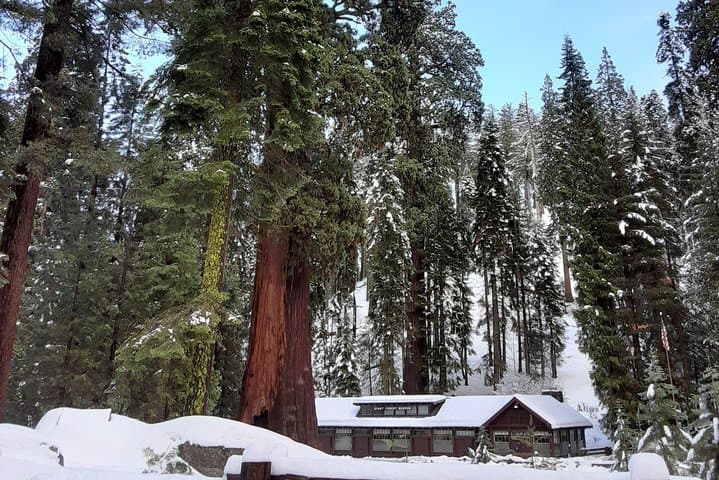 Private Snowshoe Adventure to Bear Hill — Sequoia National Park Winter Walk photo 3