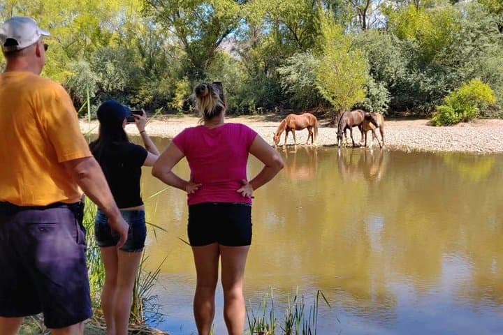 Sonoran Desert Jeep Tour from Scottsdale: Off-Road Safari into Tonto National Forest photo 6