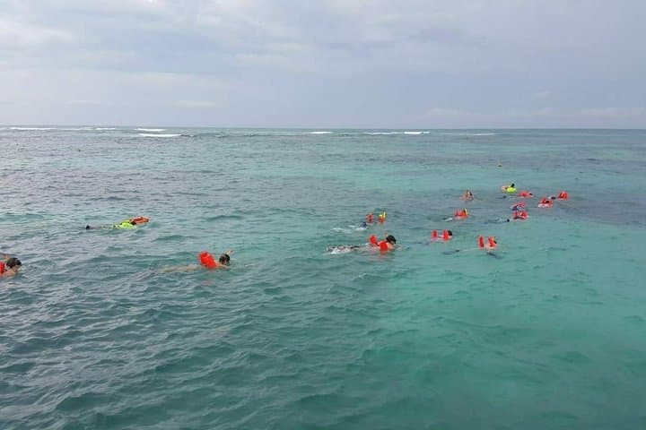 Catamaran Day Trip to Isla Mujeres from Cancun — Open Bar, Snorkel & Playa Norte photo 5