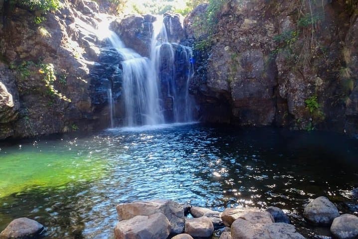 Full-Day Levada do Alecrim Hike to Lagoa da D. Beja — Madeira Plateau Walk