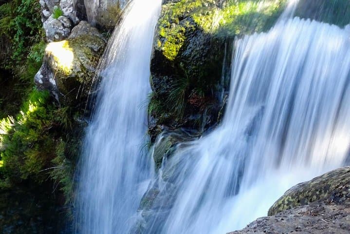 Full-Day Levada do Alecrim Hike to Lagoa da D. Beja — Madeira Plateau Walk photo 2