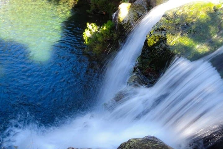 Full-Day Levada do Alecrim Hike to Lagoa da D. Beja — Madeira Plateau Walk photo 3