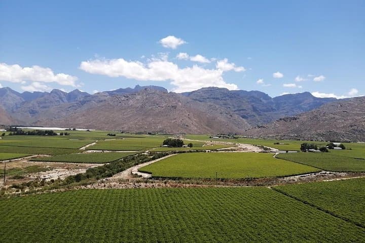 Cape Winelands Private Day Tour: Stellenbosch & Franschhoek Tastings
