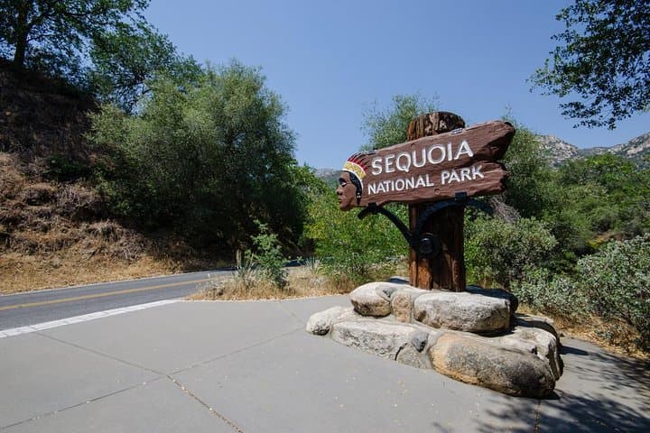 Sequoia Park Private Tour from Los Angeles — General Sherman, Kings Canyon & Tunnel Log
