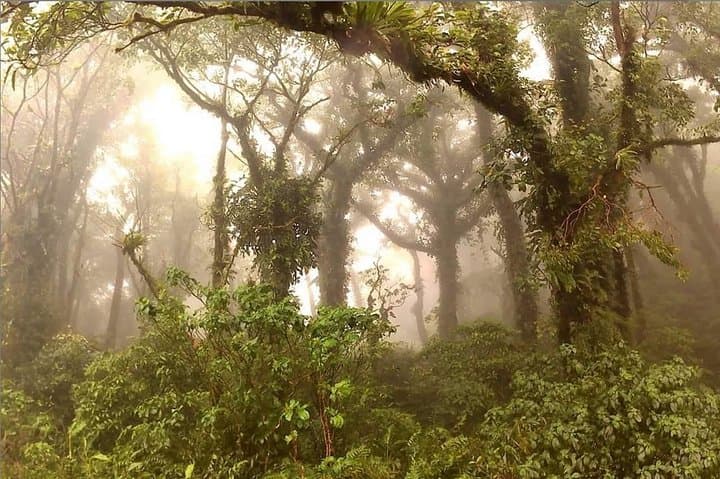 Hike Maderas: Climb Ometepe's Volcano Woods to the Crater Crater Lagoon photo 2