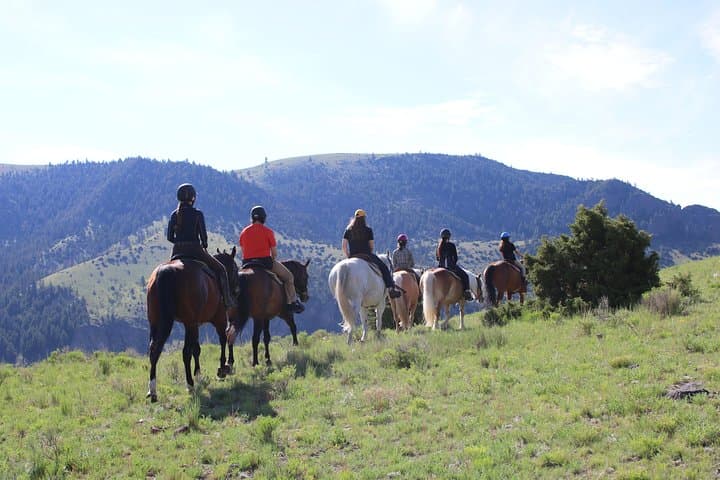 Blue Flower Trail Ride: Guided Horseback Adventures in Montana’s Paradise Valley photo 3