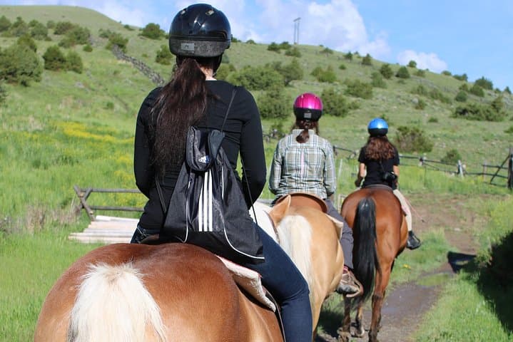 Blue Flower Trail Ride: Guided Horseback Adventures in Montana’s Paradise Valley