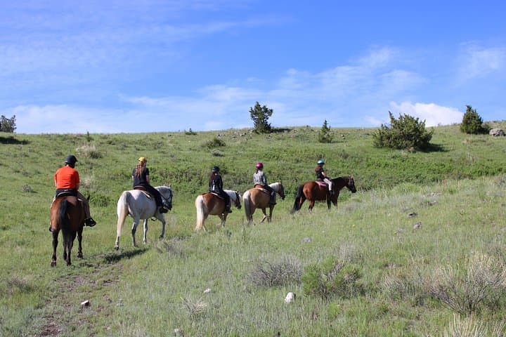 Blue Flower Trail Ride: Guided Horseback Adventures in Montana’s Paradise Valley photo 6