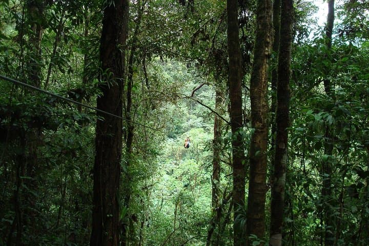 Cloud Forest Zipline Adventure from San José — San Luis Canopy Tour photo 4