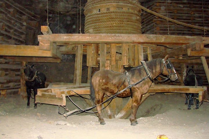 Explore Wieliczka Salt Mine from Krakow — Underground Chambers & St. Kinga Chapel photo 4