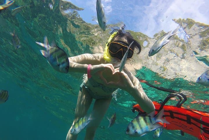 Phi Phi Islands Snorkeling from Phuket: Full-Day Speedboat Tour to Maya Bay, Bamboo & Pileh Lagoon photo 5