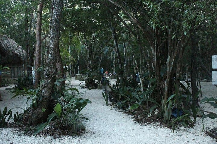 4-in-1 Tulum, Coba, Cenote & Playa Day Trip from Cancun photo 3